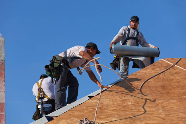 Best Flat Roof Repair Services  in Richmond, IL